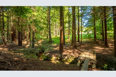 1187 Tannery Creek Road, Bodega, CA 94922 - Photo 92