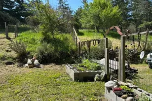 1187 Tannery Creek Rd, Bodega, CA 94922 - Photo 1