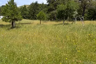 1187 Tannery Creek Rd, Bodega, CA 94922 - Photo 8