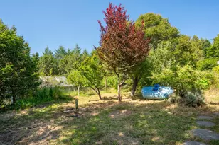 1187 Tannery Creek Rd, Bodega, CA 94922 - Photo 58