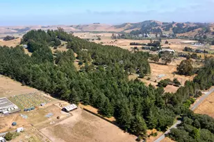 1187 Tannery Creek Rd, Bodega, CA 94922 - Photo 20