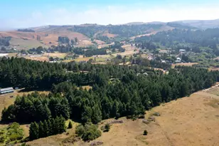 1187 Tannery Creek Rd, Bodega, CA 94922 - Photo 22