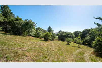 1187 Tannery Creek Road, Bodega, CA 94922 - Photo 78