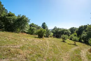 1187 Tannery Creek Rd, Bodega, CA 94922 - Photo 78