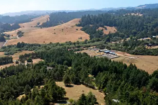 1187 Tannery Creek Rd, Bodega, CA 94922 - Photo 24