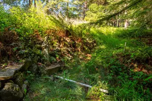 1187 Tannery Creek Rd, Bodega, CA 94922 - Photo 94