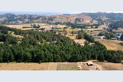 1187 Tannery Creek Road, Bodega, CA 94922 - Photo 20