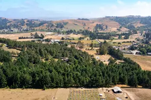 1187 Tannery Creek Rd, Bodega, CA 94922 - Photo 20