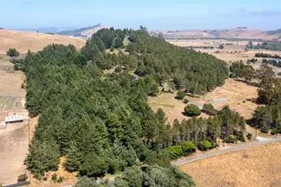 1187 Tannery Creek Rd, Bodega, CA 94922 - Photo 16