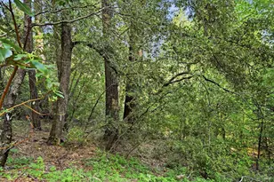 17097 Dogwood Way, Middletown, CA 95461 - Photo 30