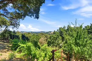 31 Roca Ct, Novato, CA 94947 - Photo 36