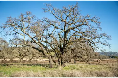 3576 Monticello Road, Napa, CA 94558 - Photo 32