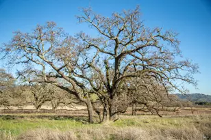 3576 Monticello Rd, Napa, CA 94558 - Photo 32