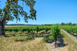 5726 Hall Rd, Santa Rosa, CA 95401 - Photo 2