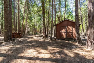 8308 Lost Mill Road, Shingletown, CA 96088 - Photo 42