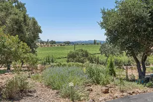 1035 Loma Vista Dr, Napa, CA 94558 - Photo 86