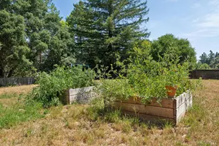 6304 Caraway Ct, Sebastopol, CA 95472 - Photo 40
