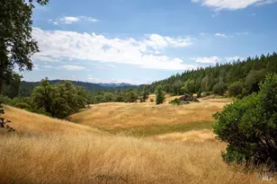 48600 Hwy 101 Hwy, Laytonville, CA 95454 - Photo 6
