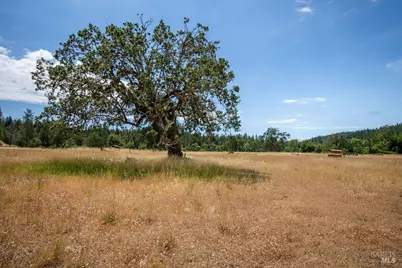 48600 Highway 101 Highway, Laytonville, CA 95454 - Photo 48