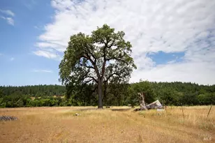 48600 Hwy 101 Hwy, Laytonville, CA 95454 - Photo 36