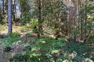 4345 Blackhawk Dr, Willits, CA 95490 - Photo 30