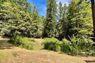 29905 Ten Mile Cut Off Rd, Gualala, CA 95445 - Photo 22