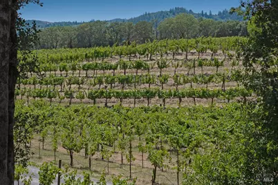 5519 Dry Creek Road, Healdsburg, CA 95448 - Photo 40