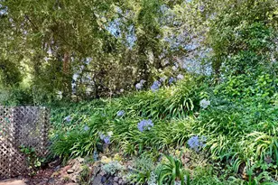 2 Bluejay Dr, Santa Rosa, CA 95409 - Photo 24