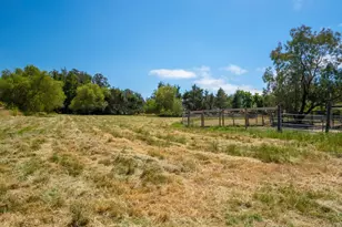 4898 Bodega Ave, Petaluma, CA 94952 - Photo 42