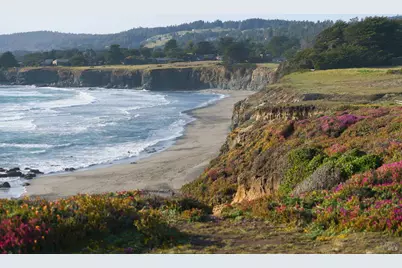 41179 Deer Trail, The Sea Ranch, CA 95497 - Photo 28
