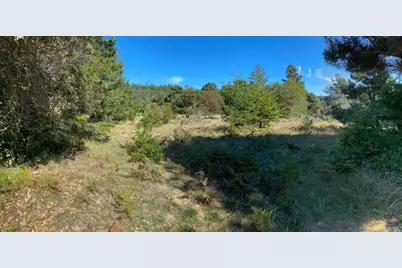 41179 Deer Trail, The Sea Ranch, CA 95497 - Photo 18