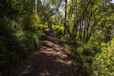 141 Granlee Road, San Rafael, CA 94903 - Photo 4