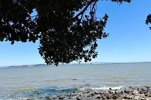 22 Hyannis Cove, San Rafael, CA 94901 - Photo 54