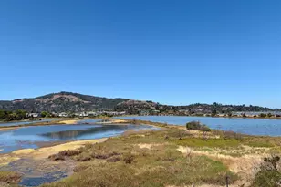 22 Hyannis Cove, San Rafael, CA 94901 - Photo 52