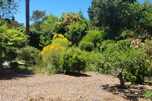 584 Midway Blvd, Novato, CA 94947 - Photo 4