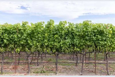 0 River Road, Fulton, CA 95439 - Photo 6