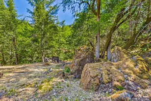 60890 Bell Springs Rd, Laytonville, CA 95454 - Photo 44