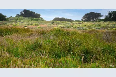 42080 Rock Cod, The Sea Ranch, CA 95497 - Photo 12
