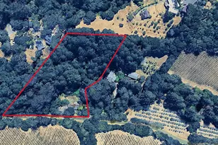 10215 Occidental Rd, Sebastopol, CA 95472 - Photo 54
