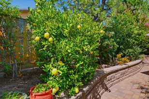 239 Saffron Ct, Napa, CA 94559 - Photo 40