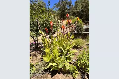 323 Portofino Way, Cloverdale, CA 95425 - Photo 40