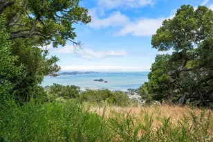 300 Margarita Dr, San Rafael, CA 94901 - Photo 78