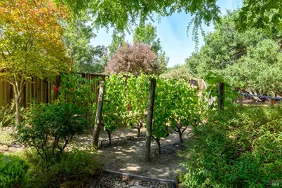 3720 Beartooth Lane, Napa, CA 94558 - Photo 10