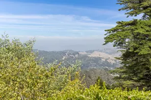 162 Bayview Dr, Mill Valley, CA 94941 - Photo 36