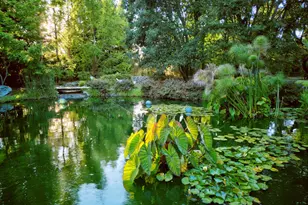 48 Garfield Ln, Napa, CA 94558 - Photo 30