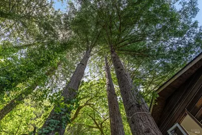 602 Ralston Avenue, Mill Valley, CA 94941 - Photo 44