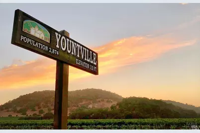 46 Lande Way, Yountville, CA 94599 - Photo 42