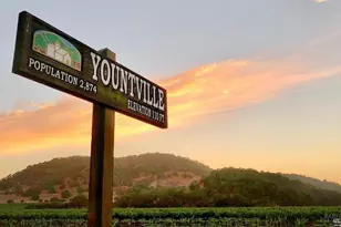 46 Lande Way, Yountville, CA 94599 - Photo 42