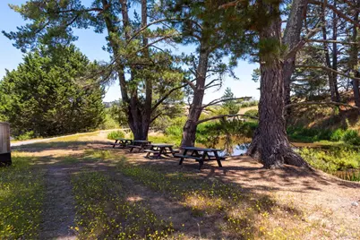 3518 Bloomfield Road, Sebastopol, CA 95472 - Photo 78