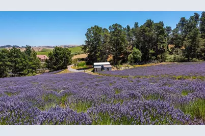 3518 Bloomfield Road, Sebastopol, CA 95472 - Photo 70
